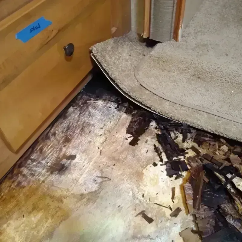 Best Wood Floor Water Damage Service in West Warrenton, GA